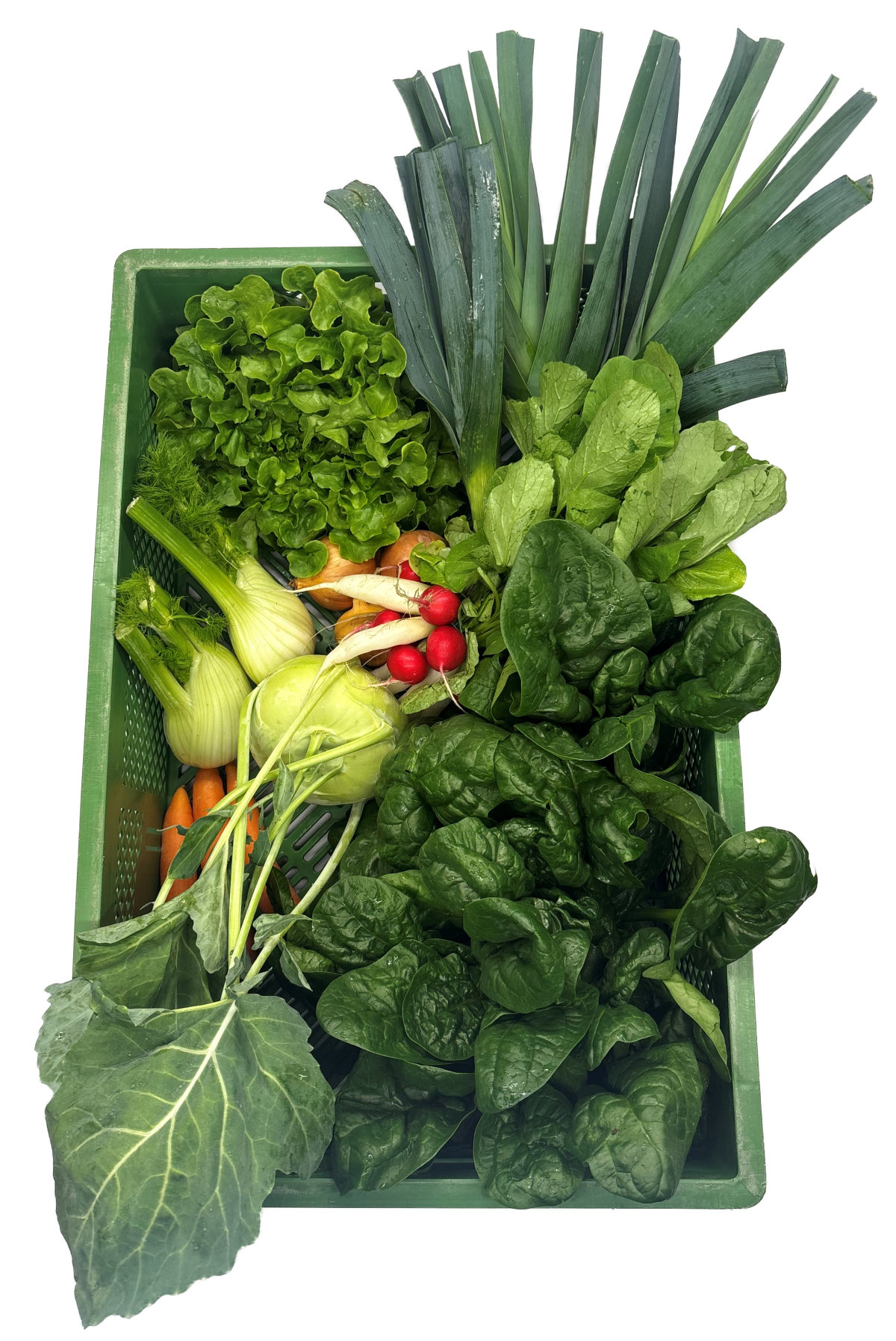 Querbeet 20