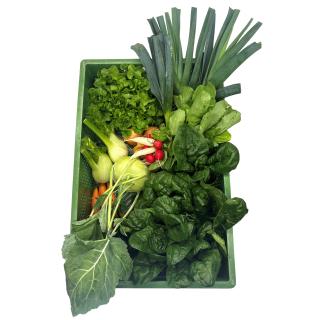 Querbeet 20