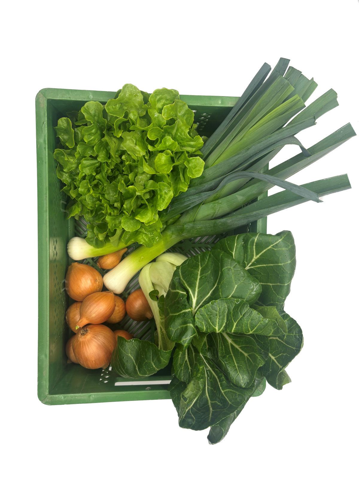 Querbeet 9